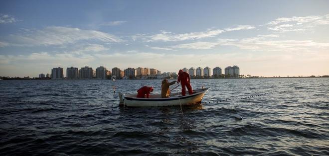 El Mar Menor se salva de la muerte… de momento