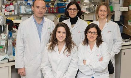 Neurólogos españoles descubren por qué resiste el cáncer cerebral más letal