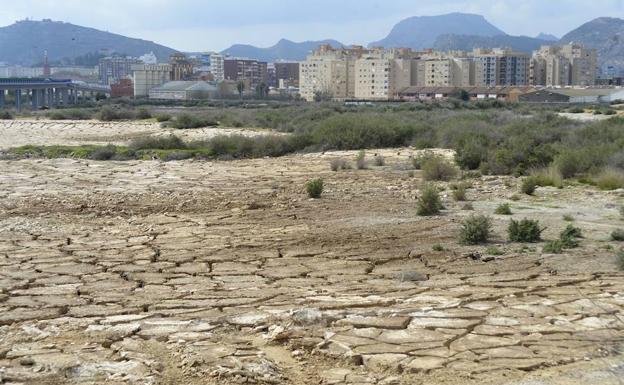 Castejón compra terrenos en El Hondón para «desarrollarlo urbanísticamente sin ataduras»