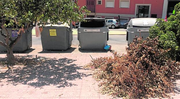 Vecinos y veraneantes denuncian «suciedad y dejadez» en el Puerto de Mazarrón