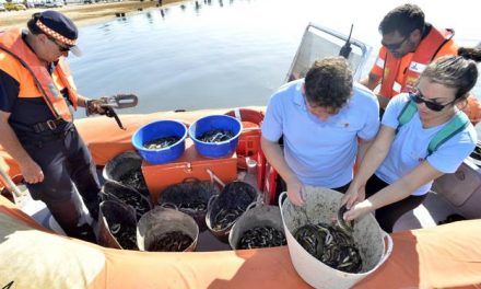 La ministra visita la Región el miércoles para acordar medidas «urgentes» en el Mar Menor