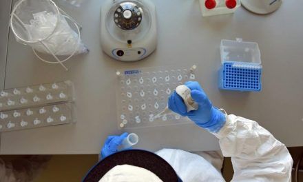 Desarrollar una vacuna y agilizar el diagnóstico: así son los proyectos que impulsa el fondo público contra la covid